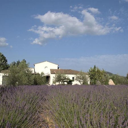 Villa Otilia-Bed And Breakfast-Chambres D'Hotes En Provence Rians  Екстериор снимка
