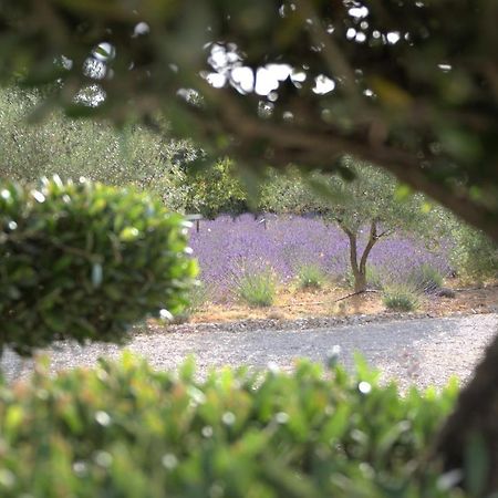 Villa Otilia-Bed And Breakfast-Chambres D'Hotes En Provence Rians  Екстериор снимка