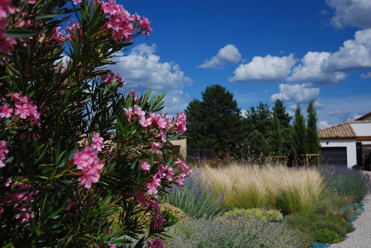 Villa Otilia-Bed And Breakfast-Chambres D'Hotes En Provence Rians  Екстериор снимка