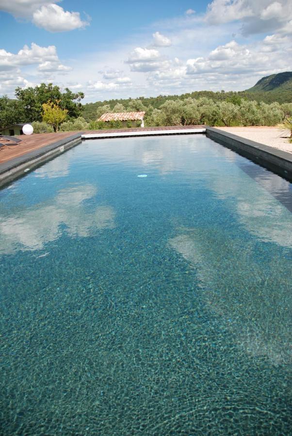 Villa Otilia-Bed And Breakfast-Chambres D'Hotes En Provence Rians  Екстериор снимка