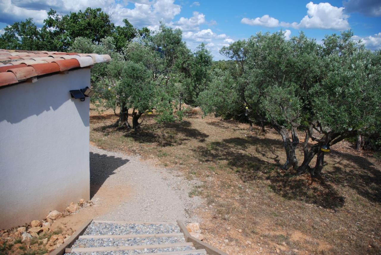 Villa Otilia-Bed And Breakfast-Chambres D'Hotes En Provence Rians  Екстериор снимка