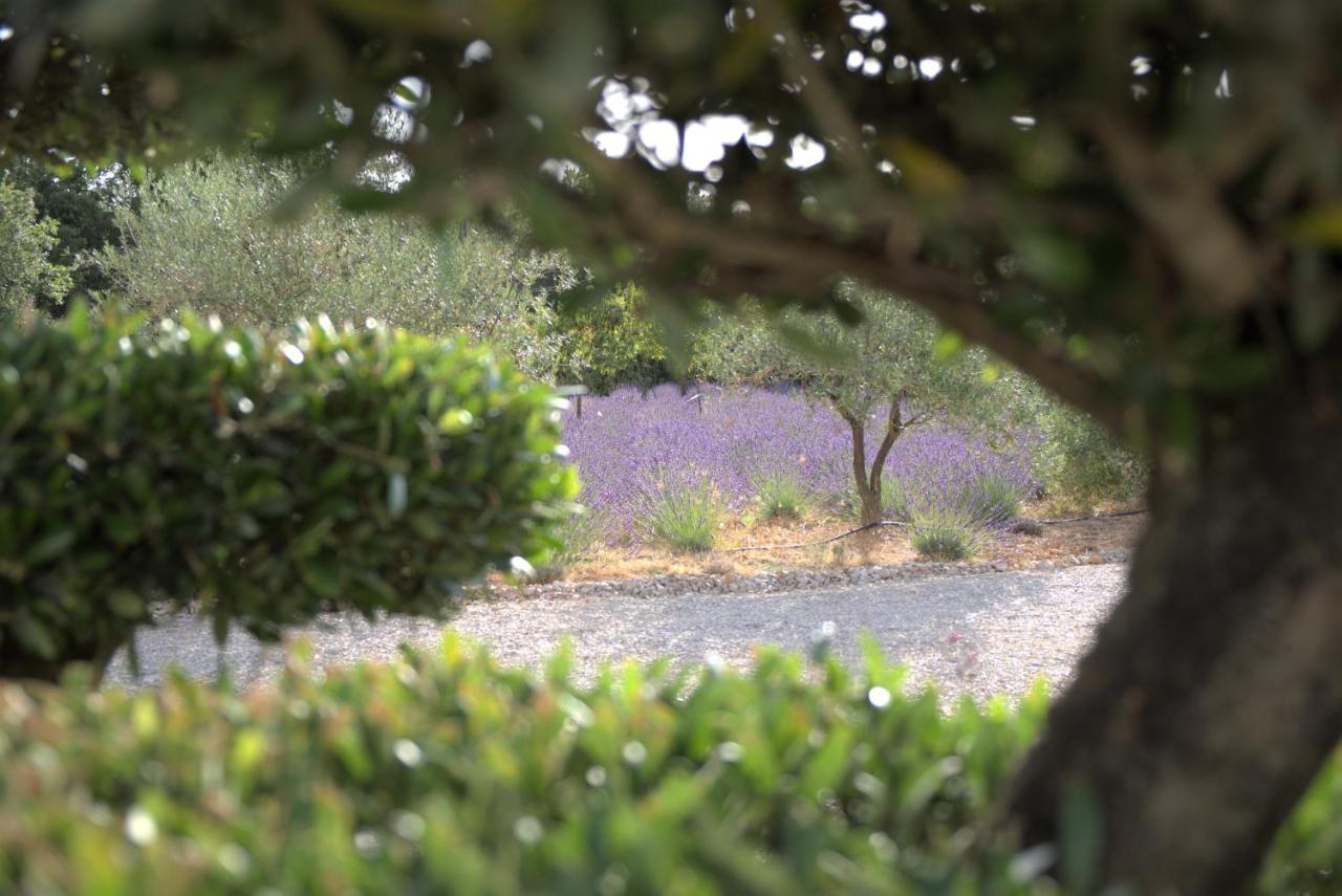 Villa Otilia-Bed And Breakfast-Chambres D'Hotes En Provence Rians  Екстериор снимка